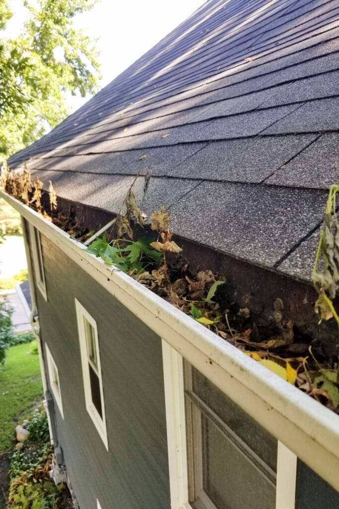 A residential gutter overflowing with leaves, twigs, and debris on a grey house in Saint Paul.